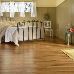 Las Vegas Laminate Flooring photo 6